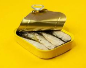 ترند «السردين المكثف» ينتشر عالمياً... نظام صحي أم مبالغة جديدة؟