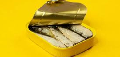 ترند «السردين المكثف» ينتشر عالمياً... نظام صحي أم مبالغة جديدة؟