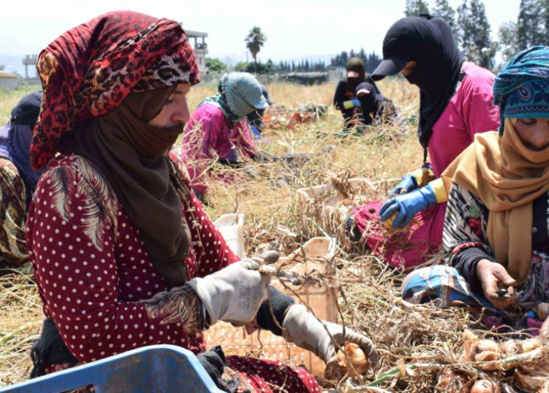 Global Poverty Risk Rises as Middle East Escalation Deepens, Warns United Nations Development Programme