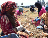 Global Poverty Risk Rises as Middle East Escalation Deepens, Warns United Nations Development Programme