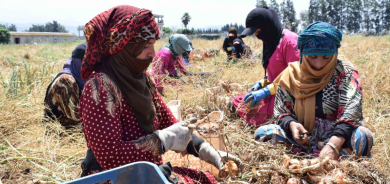 Global Poverty Risk Rises as Middle East Escalation Deepens, Warns United Nations Development Programme