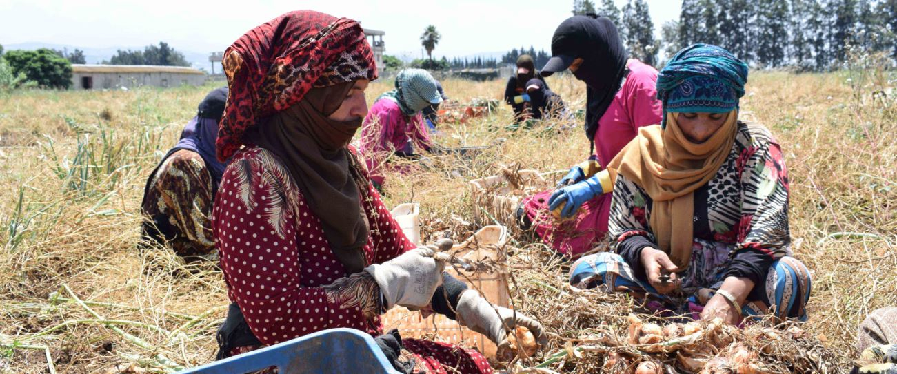 Global Poverty Risk Rises as Middle East Escalation Deepens, Warns United Nations Development Programme