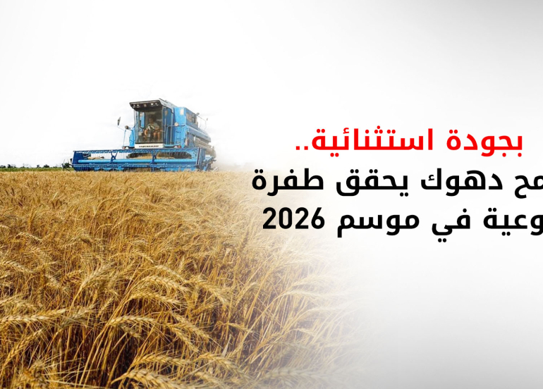 توقعات بتجاوز إنتاج قمح دهوك نصف مليون طن.. وحكومة الإقليم ترفض 