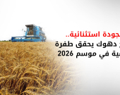 توقعات بتجاوز إنتاج قمح دهوك نصف مليون طن.. وحكومة الإقليم ترفض 