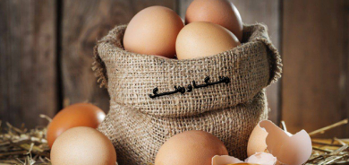 سوودەكانی توێكڵی هێلكە و بەكارهێنانی