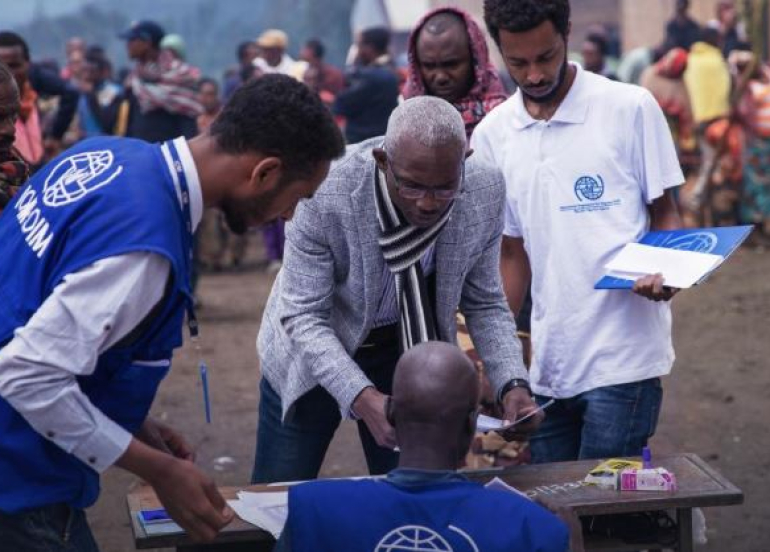 Global Migration Rate Remains Stable Despite Political Rhetoric, UN Report Finds
