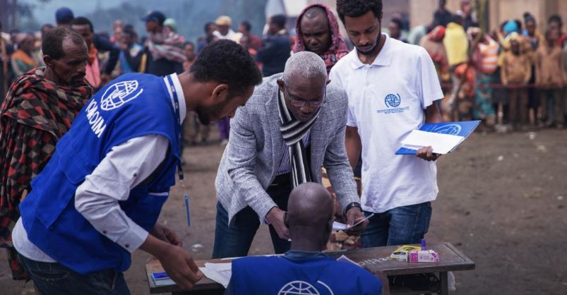 Global Migration Rate Remains Stable Despite Political Rhetoric, UN Report Finds