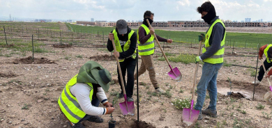 زراعة أربيل: غرس نحو 700 ألف شجرة ضمن مشروع 