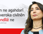 DEM Partî: Hevdîtinên MÎT û Qendîlê rast in lê agahiyên me kêm in