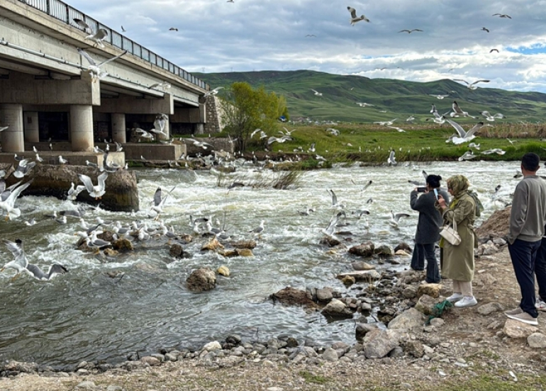 Koça masiyan a ji Gola Wanê dest pê kir