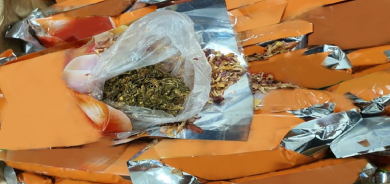 Joint Kurdistan Region-Iraq Operation Seizes 11.5 Kilograms of Marijuana, Suspect Arrested