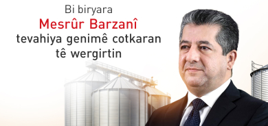 Bi biryara Mesrûr Barzanî tevahiya genimê cotkaran tê wergirtin