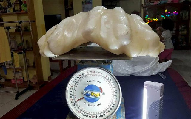 دۆزینەوەی گەورەترین مرواری