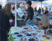 Li Şeqlaweyê Yekemîn Festîvala Tûyê hat lidarxistin