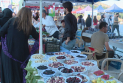 Li Şeqlaweyê Yekemîn Festîvala Tûyê hat lidarxistin