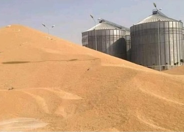 استلام اكثر من  277   طناً من القمح في صوامع إقليم كوردستان حتى الآن