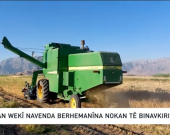 Kirmanşan li ser asta Îranê çavkaniya serekî ya berhemanîna nokan e