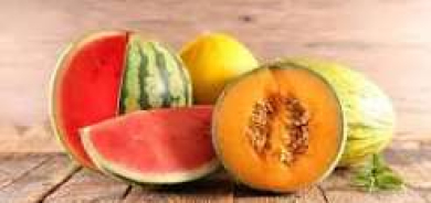 البطيخ أم الشمام؟ أيهما الأفضل للترطيب والهضم وصحة القلب