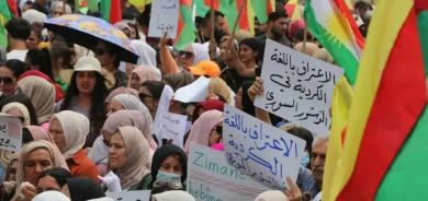Jinan banga misogerkirina mafên çandî û zimanî di destûrê de kirin