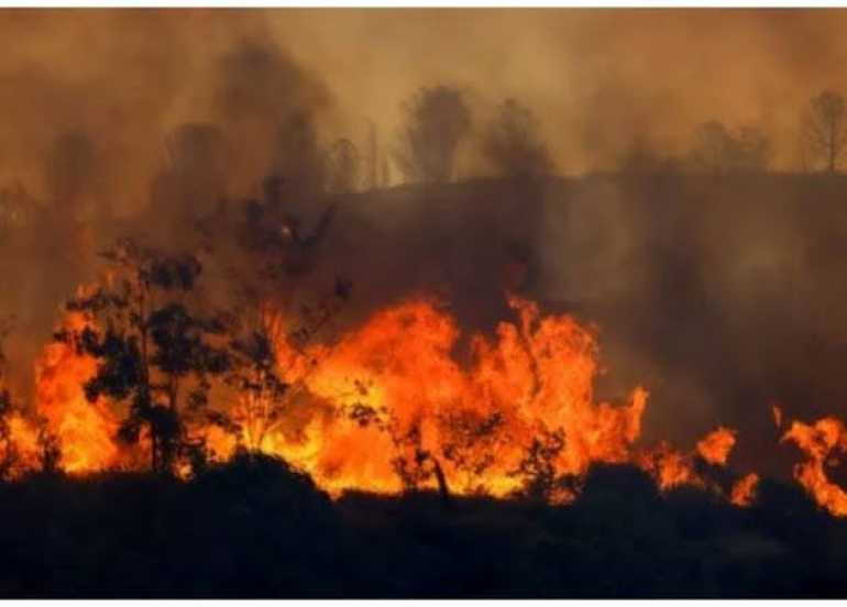 شەپۆلی گەرمای زۆر و ئاگرکەوتنەوە لە دارستانەکان لە باشووری ئەوروپا