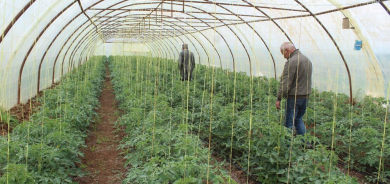 Stratejiya nû ya jîngehî li Herêma Kurdistanê: Heya niha 150 hezar mîn hatine pûçkirin û 13 mîlyon metre çargoşe ax hatî paqijkirin