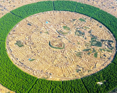 حزام أربيل الأخضر يدخل مرحلته الثانية بإدخال أصناف جديدة من الأشجار