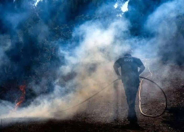 لە باشووری ئیسپانیا ژمارەی گیانلەدەستدان بەهۆی ئاگرکەوتنەوە لە دارستانەکان بەرز دەبێتەوە