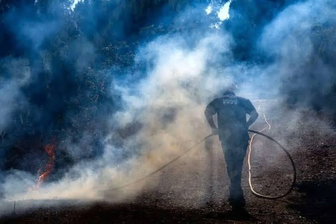 لە باشووری ئیسپانیا ژمارەی گیانلەدەستدان بەهۆی ئاگرکەوتنەوە لە دارستانەکان بەرز دەبێتەوە