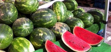 15 طعاماً قد تبقي جسمك رطباً إلى جانب شرب الماء