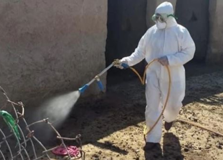 Nineveh Records 17th Crimean-Congo Hemorrhagic Fever Case as Iraq's Total Reaches 163