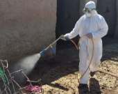 Nineveh Records 17th Crimean-Congo Hemorrhagic Fever Case as Iraq's Total Reaches 163