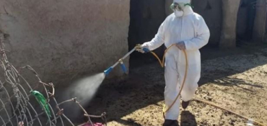 Nineveh Records 17th Crimean-Congo Hemorrhagic Fever Case as Iraq's Total Reaches 163
