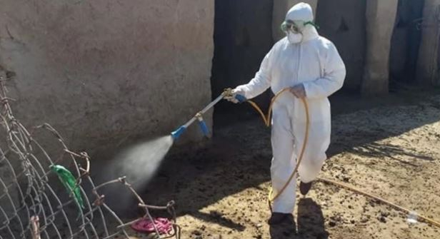 Nineveh Records 17th Crimean-Congo Hemorrhagic Fever Case as Iraq's Total Reaches 163