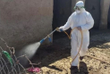 Nineveh Records 17th Crimean-Congo Hemorrhagic Fever Case as Iraq's Total Reaches 163