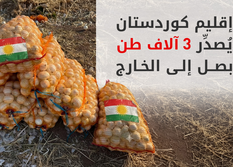 لأول مرة.. إقليم كوردستان يبدأ بتصدير إنتاج البصل إلى الخارج