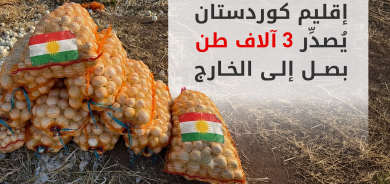 لأول مرة.. إقليم كوردستان يبدأ بتصدير إنتاج البصل إلى الخارج