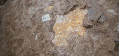 2,600-Year-Old Assyrian Stele of King Ashurbanipal Unearthed in Nineveh