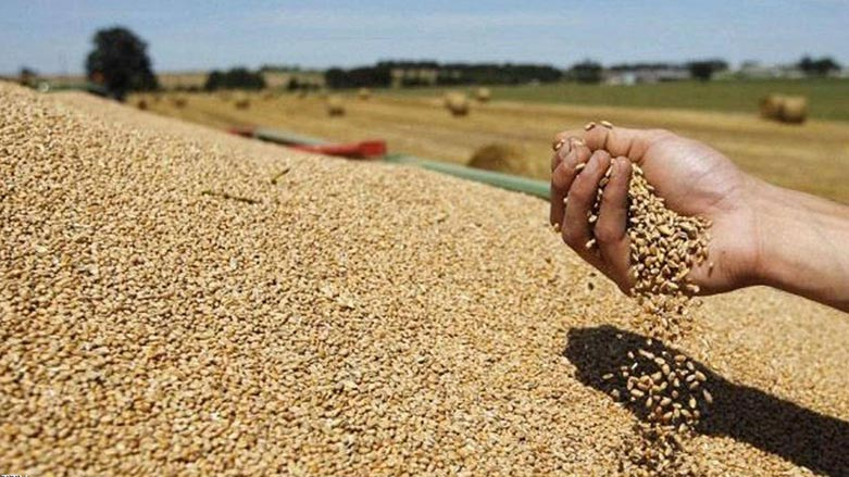حكومة إقليم كوردستان تقرر شراء فائض القمح من المزارعين