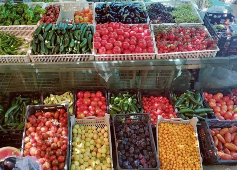 من 2% إلى 12%.. قفزة كبرى في استثمارات كوردستان الزراعية وتحول الإقليم إلى 