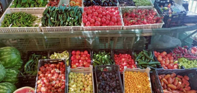 من 2% إلى 12%.. قفزة كبرى في استثمارات كوردستان الزراعية وتحول الإقليم إلى 