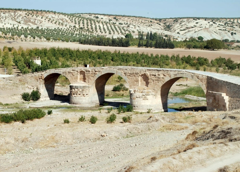 Sûriye: Parastina şûnwarên Efrînê ji bo me pêşîneyeke niştimanî ye
