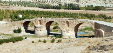 Sûriye: Parastina şûnwarên Efrînê ji bo me pêşîneyeke niştimanî ye