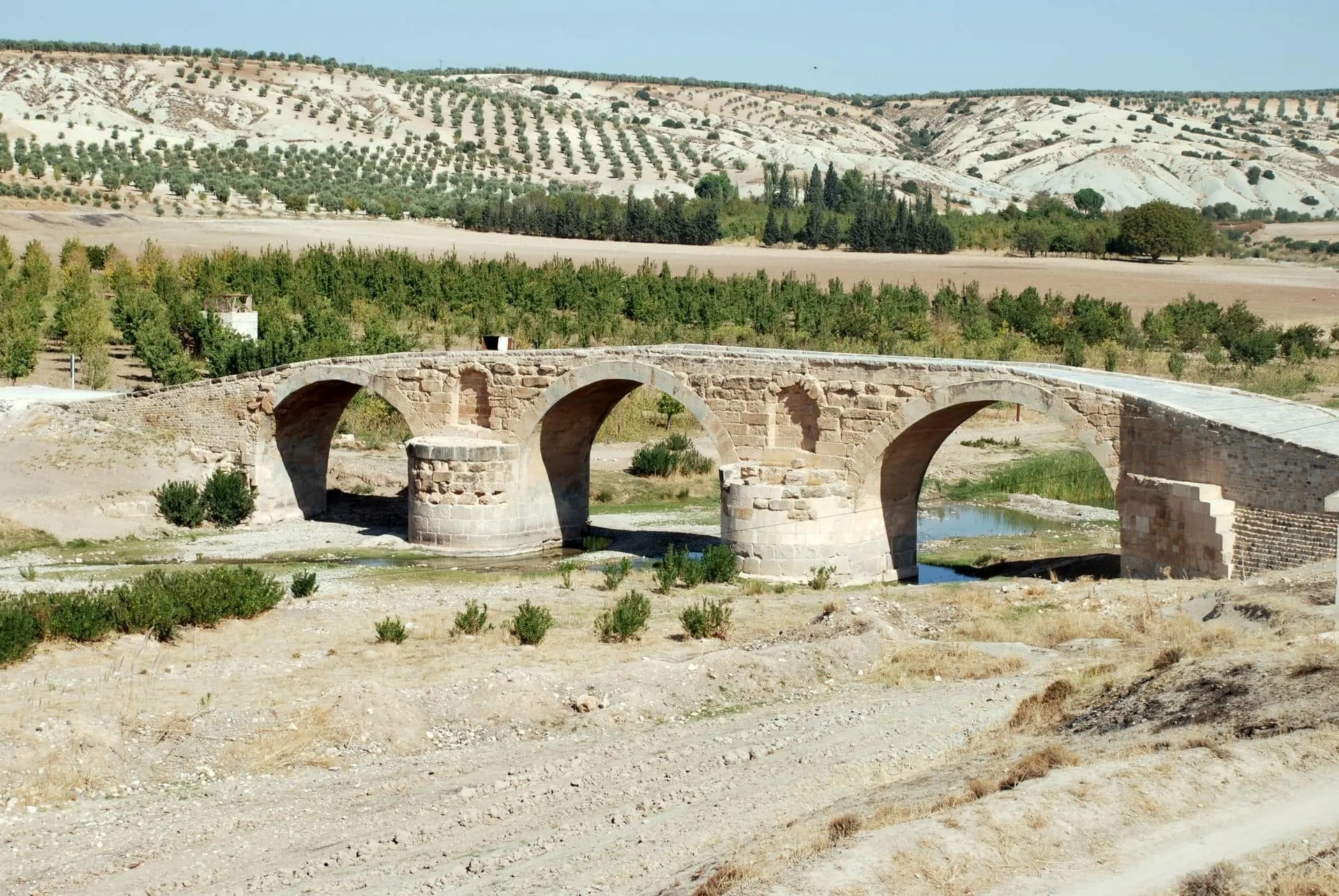 Sûriye: Parastina şûnwarên Efrînê ji bo me pêşîneyeke niştimanî ye