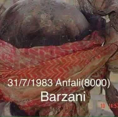 هەڵمەتی ئەنفال دژی بارزانیییەکان، یەکێکە لە خوێناویترین بابەتەکانی مێژووی عێراق