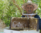 Hinguvê Kurdistanê di lîsteya herî baş a cîhanê de cih digire