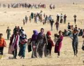 2526 إيزدياً مجهولو المصير بالذكرى الـ 12 للإبادة