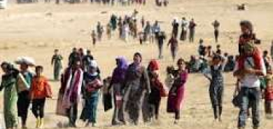 2526 إيزدياً مجهولو المصير بالذكرى الـ 12 للإبادة