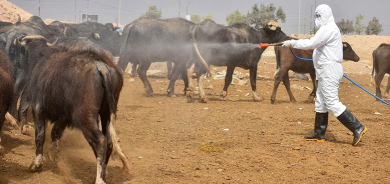 Li Kurdistanê pêngava rûbirûbûna taya xwênberbûnê dest pê kir