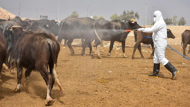 Li Kurdistanê pêngava rûbirûbûna taya xwênberbûnê dest pê kir