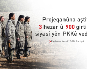 DEM Partî: Qanûna nû ya aştiyê bandorê li rewşa 75 hezar kesan dike